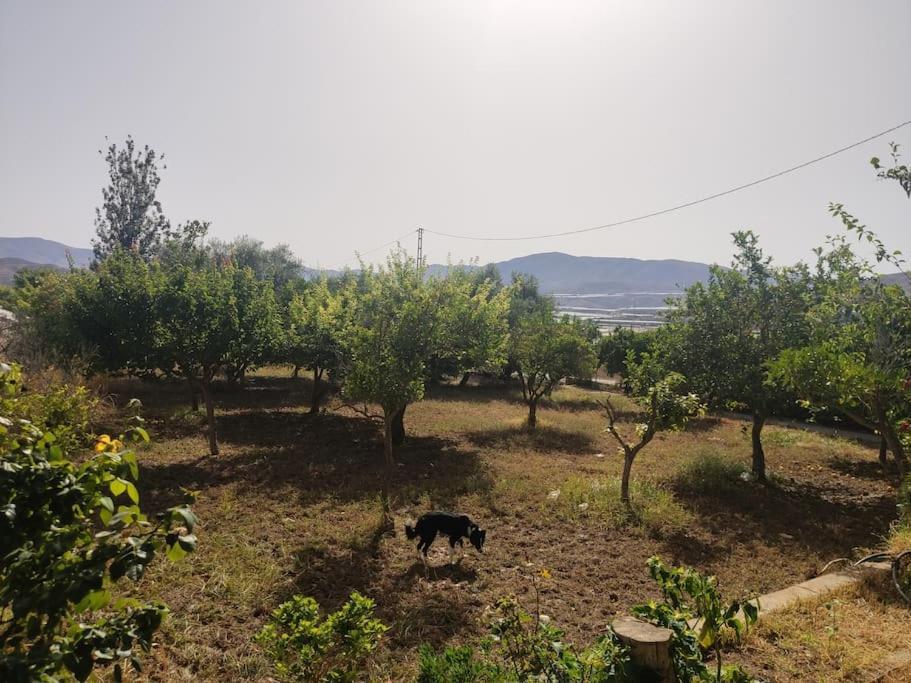 Encantadora Casa Rural Con Gran Porche San Roque  Buitenkant foto